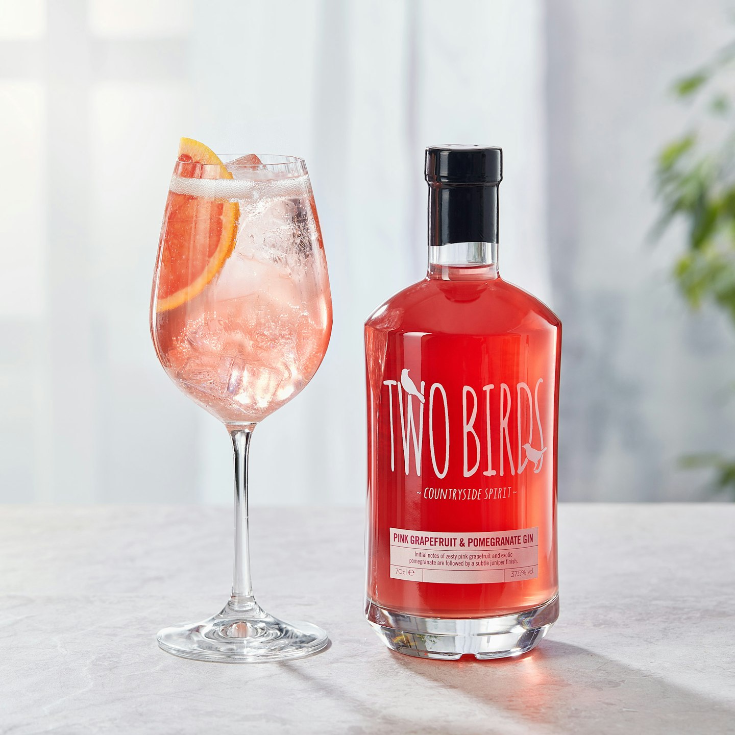 Two Birds Pink Grapefruit & Pomegranate Gin