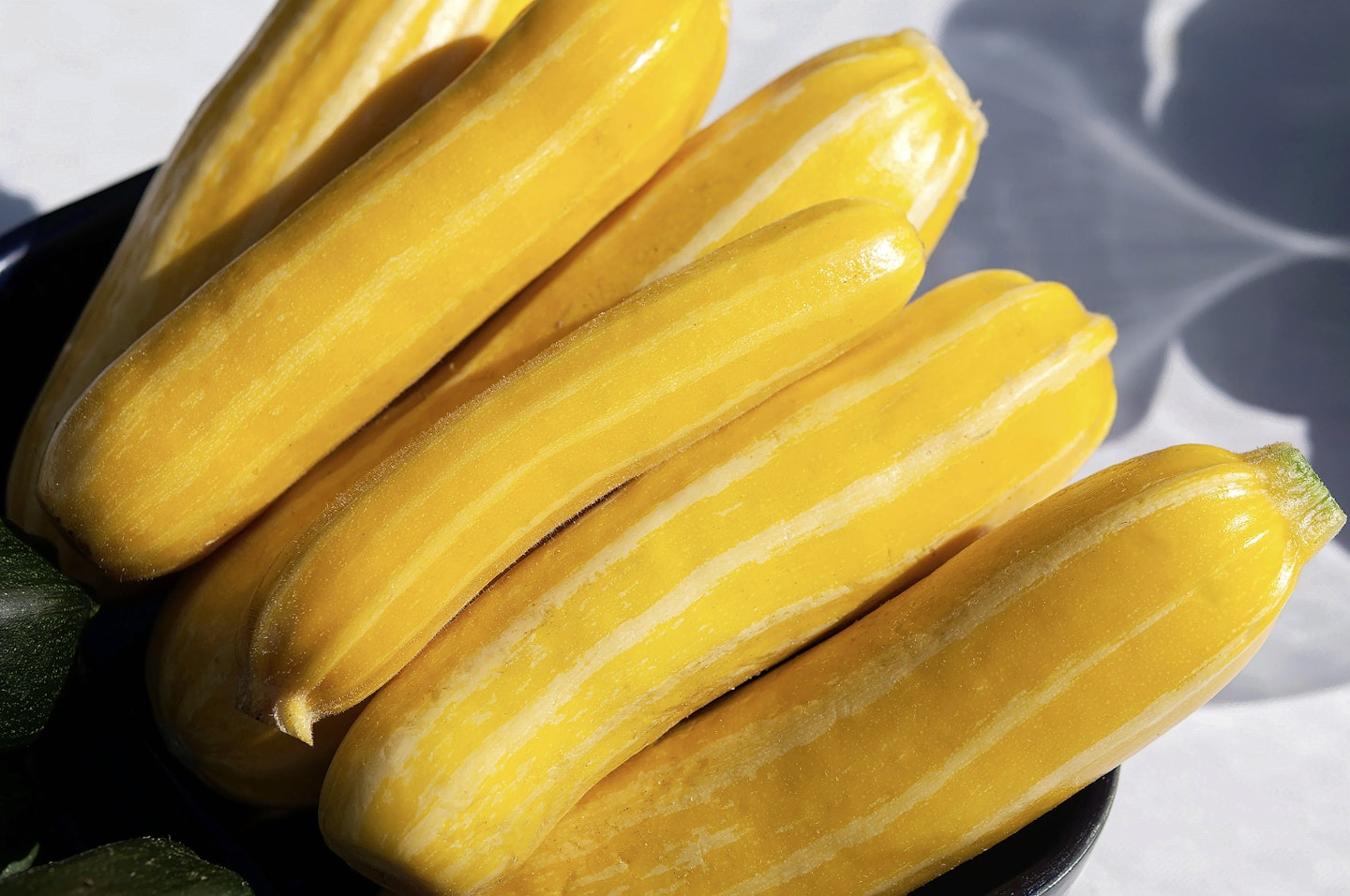 Sunstripe Courgette