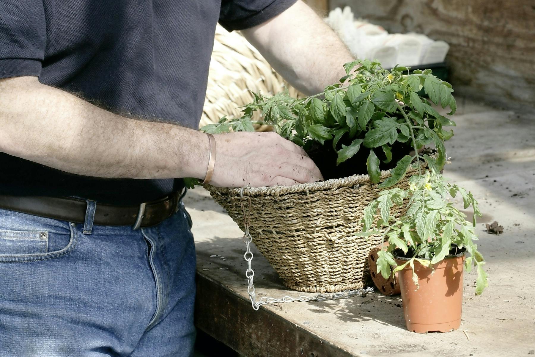 Grow Fruit And Veg In Hanging Baskets channel_name