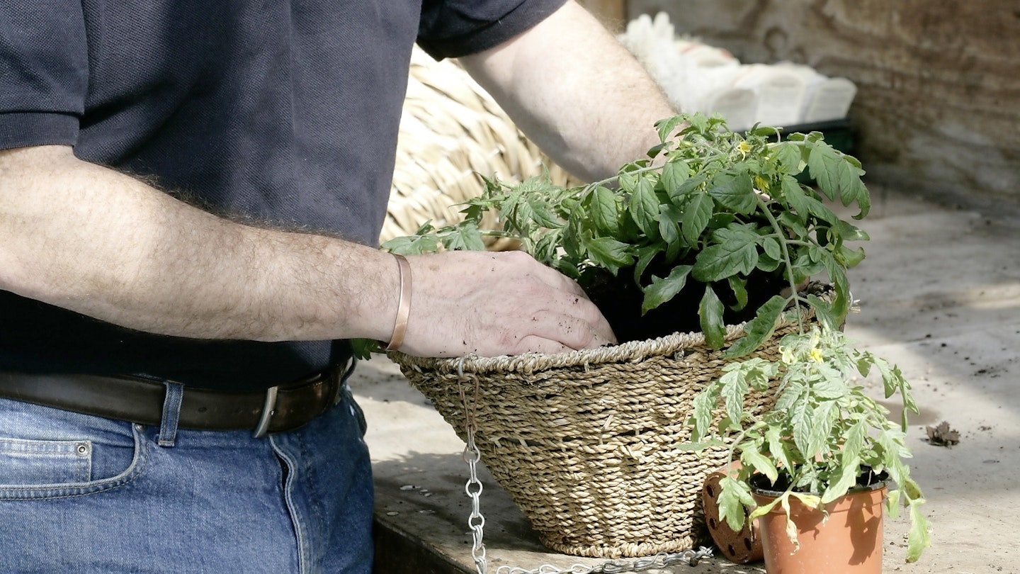 Try growing fruit and veg in hanging baskets