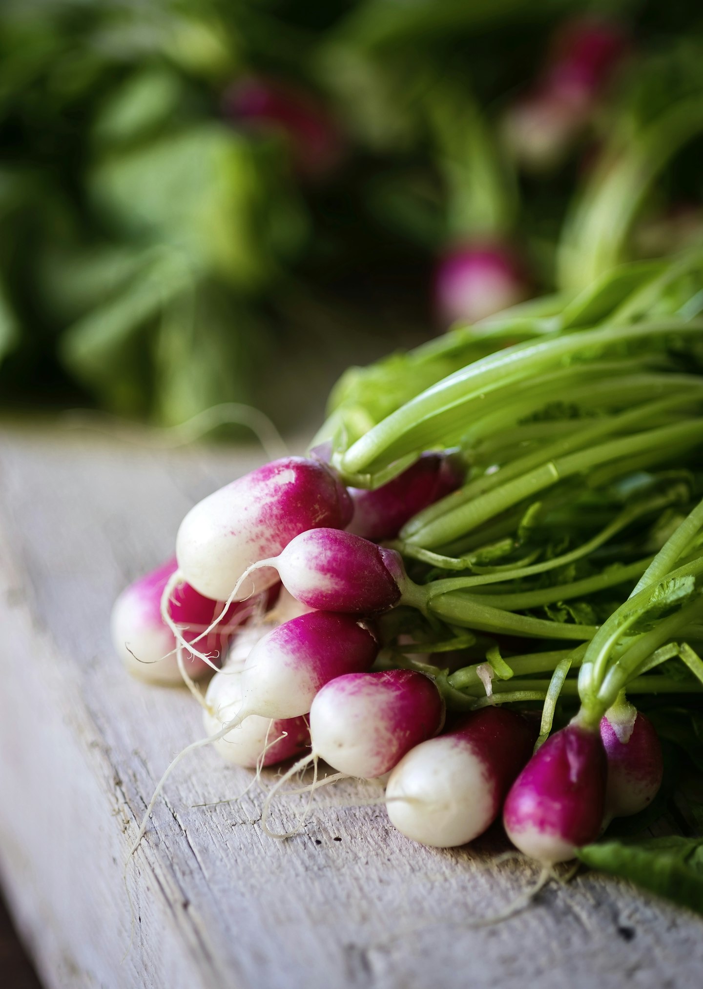 Radishes
