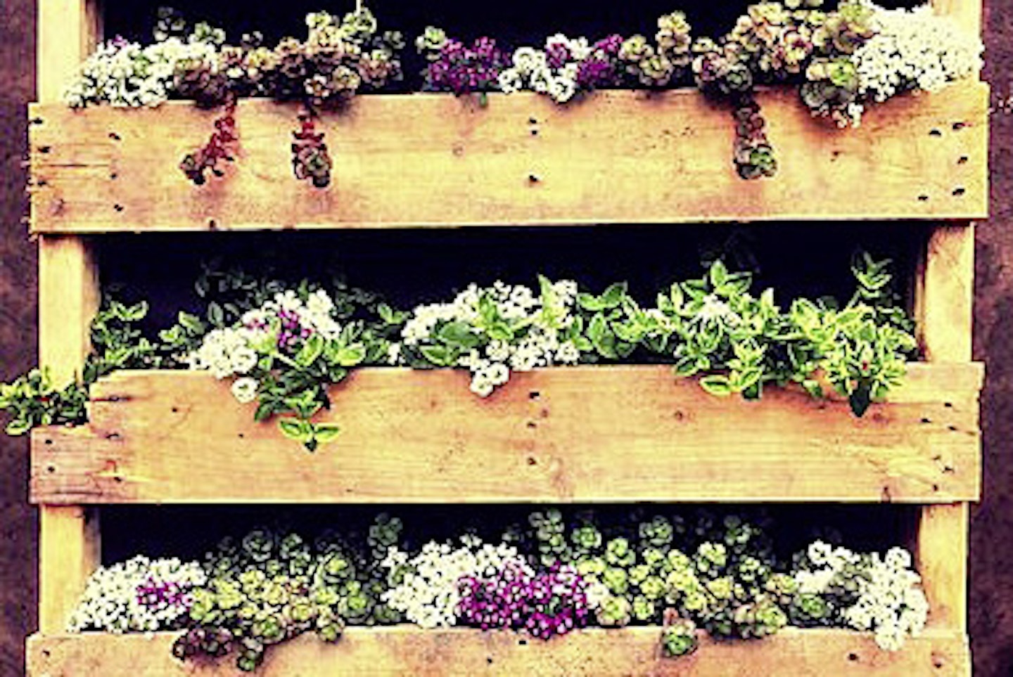 How To Plant Up A Vertical Garden!