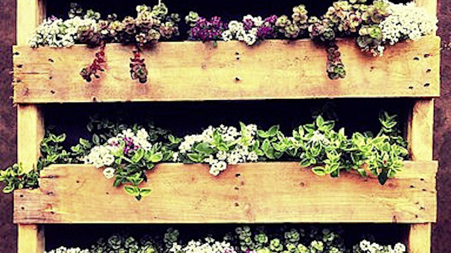 How To Plant Up A Vertical Garden!