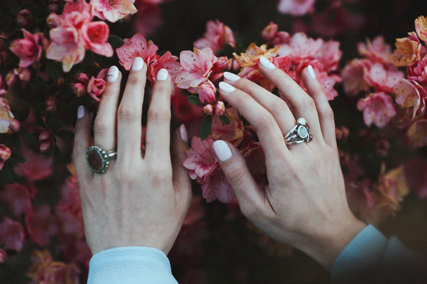Woman placing hands on flowers