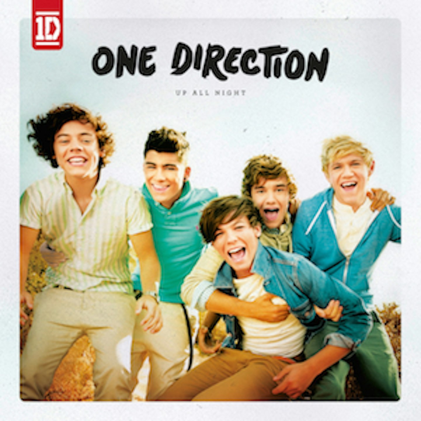 1D One Direction ZAYN HARRY LOUIS NIALL LIAM 12" DOLL Hasbro