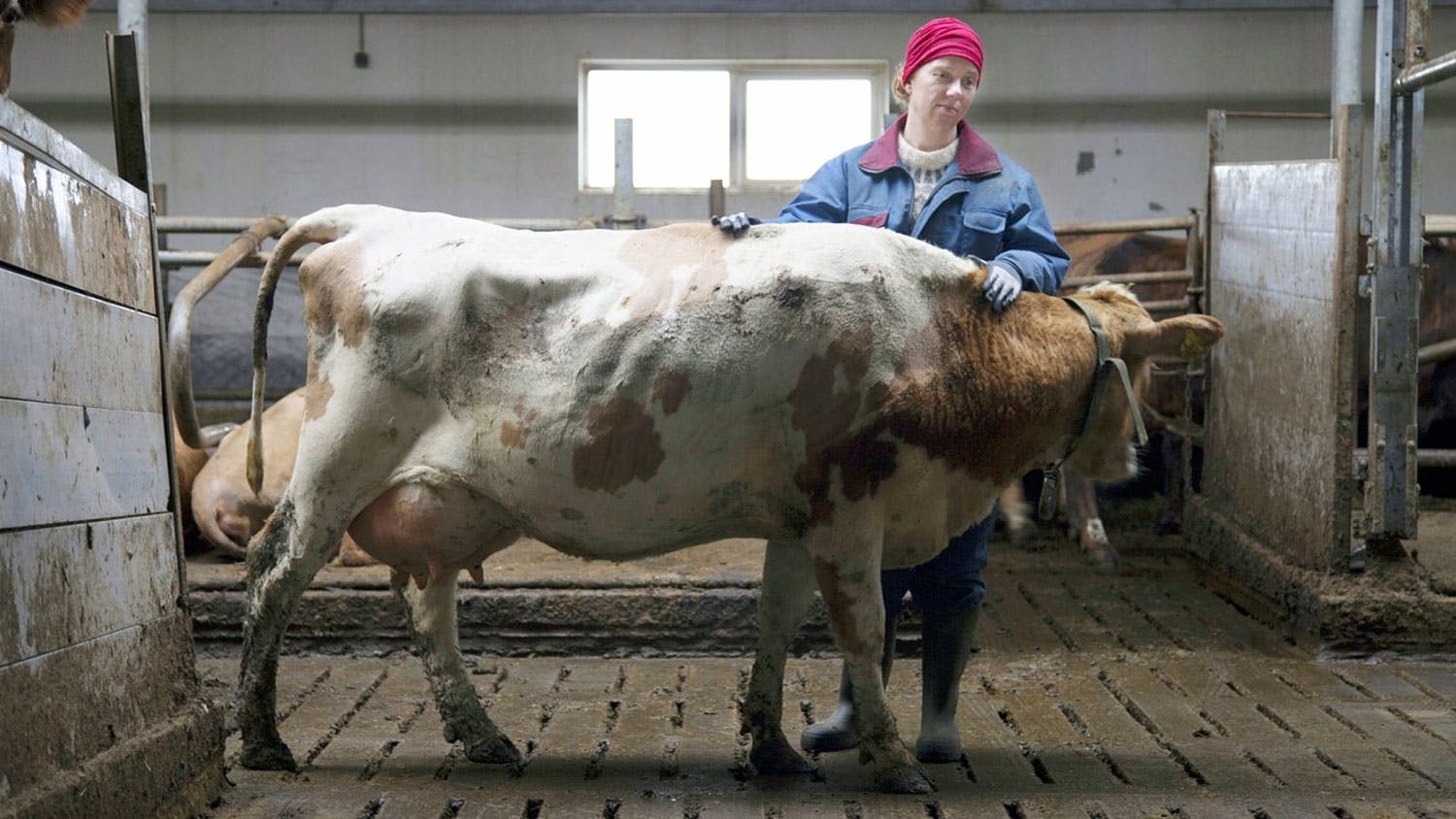 The County Review Movie Empire