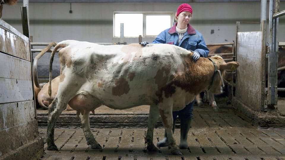 The County Review Movie Empire