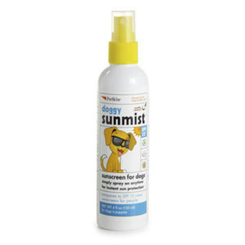 Dog Sunscreen: How To Protect Dogs And Cats From Sunburn