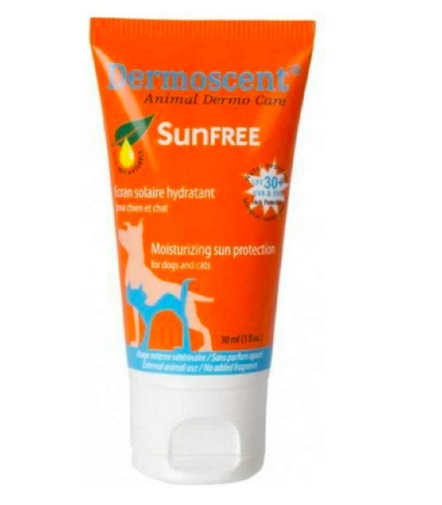 Best Sun Protection For Pets - Grazia