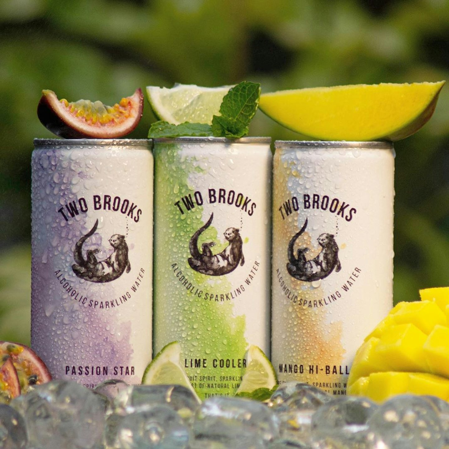 Two Brooks Hard Seltzer