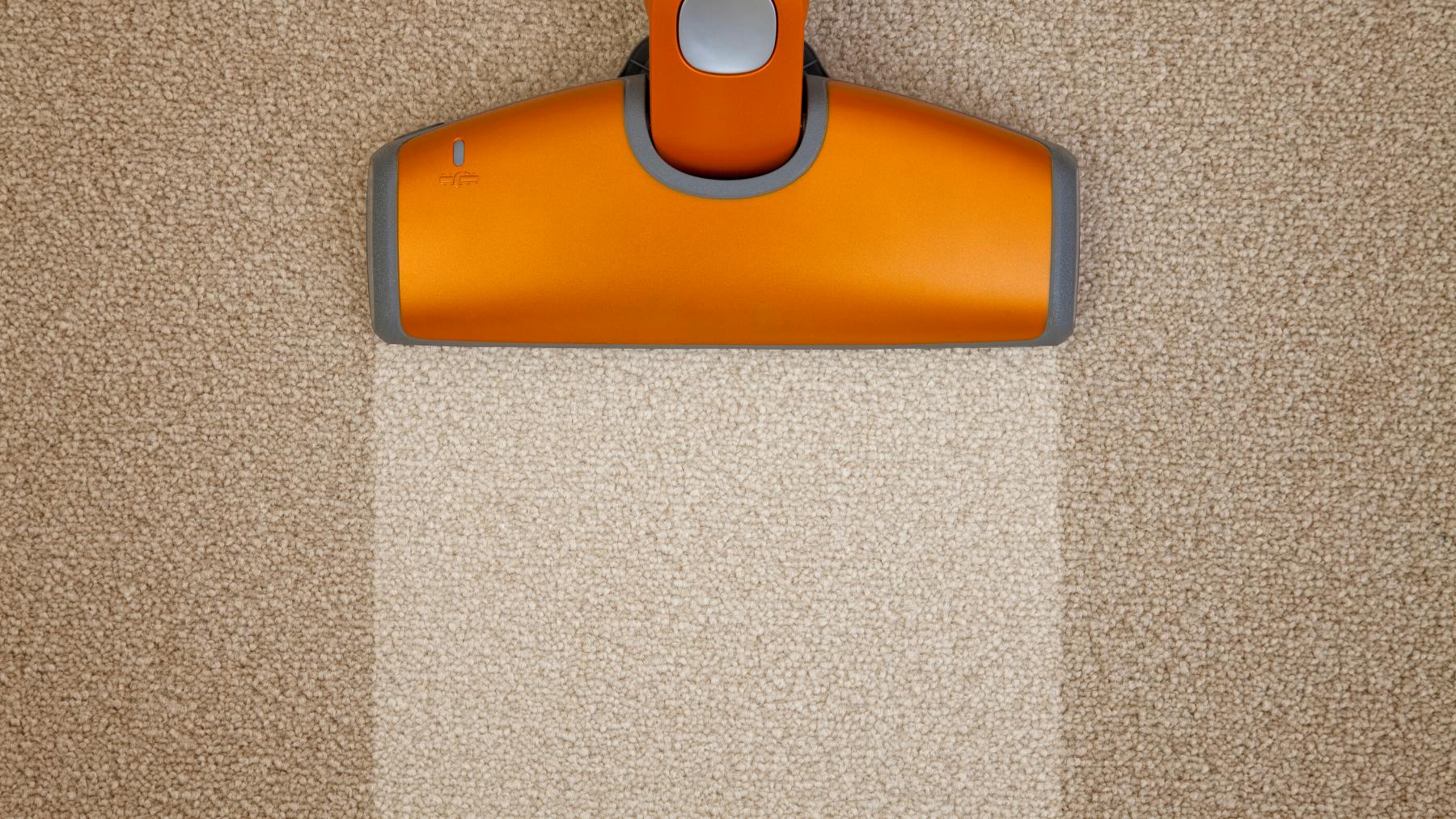 The best carpet cleaner for homes with pets Life Yours