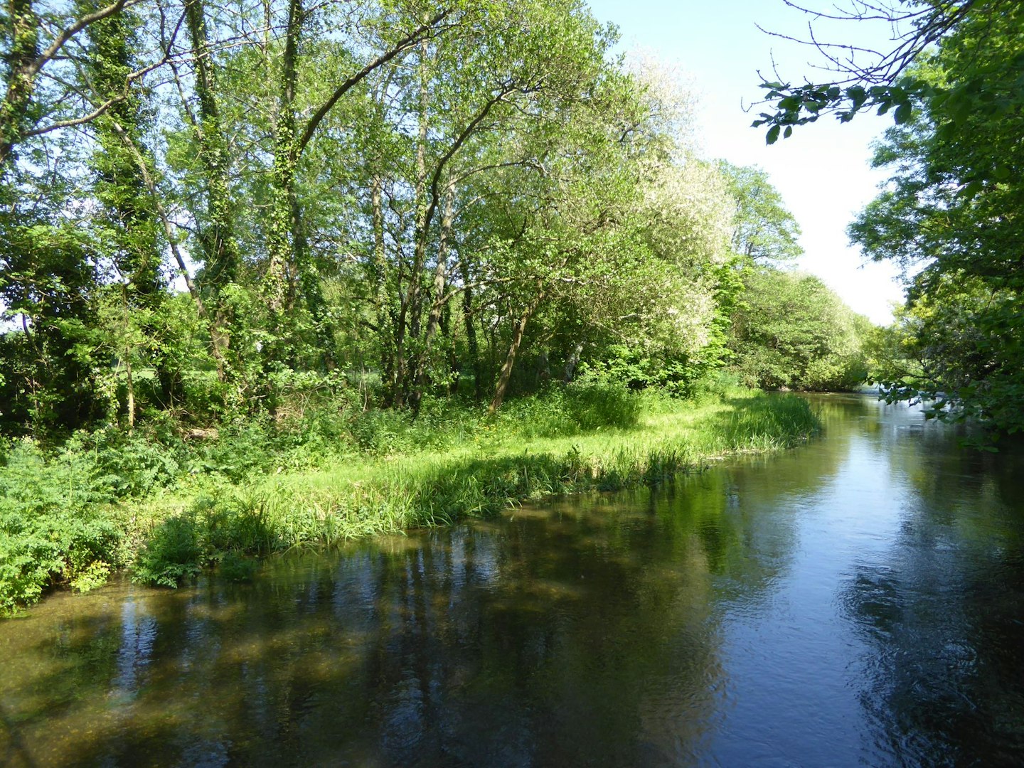 FOR GOING OFF-GRID – FROME MEADOW CAMPSITE, SOMERSET