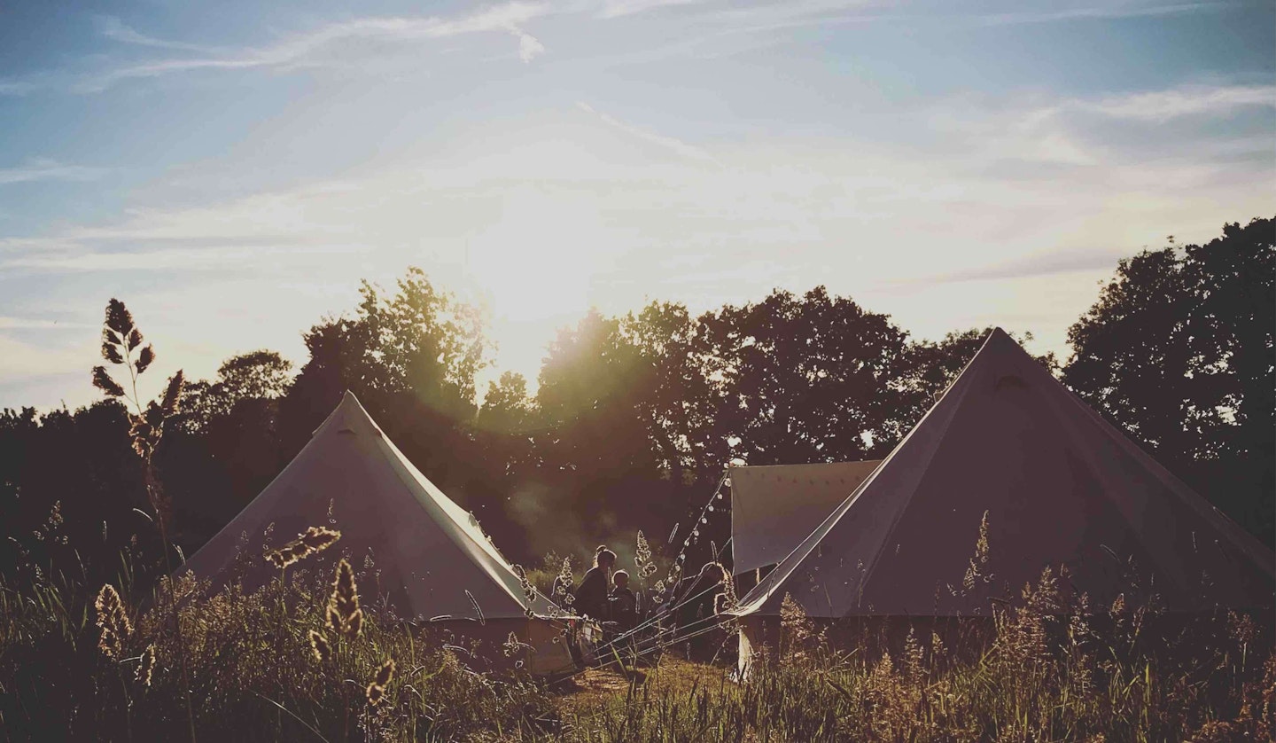 FOR ECO-CAMPING – BIRDS & BEES, SUFFOLK