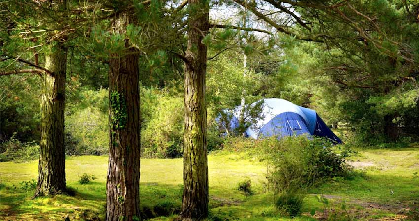 FOR FOREST FUN – ROUNDHILL CAMPSITE, NEW FOREST