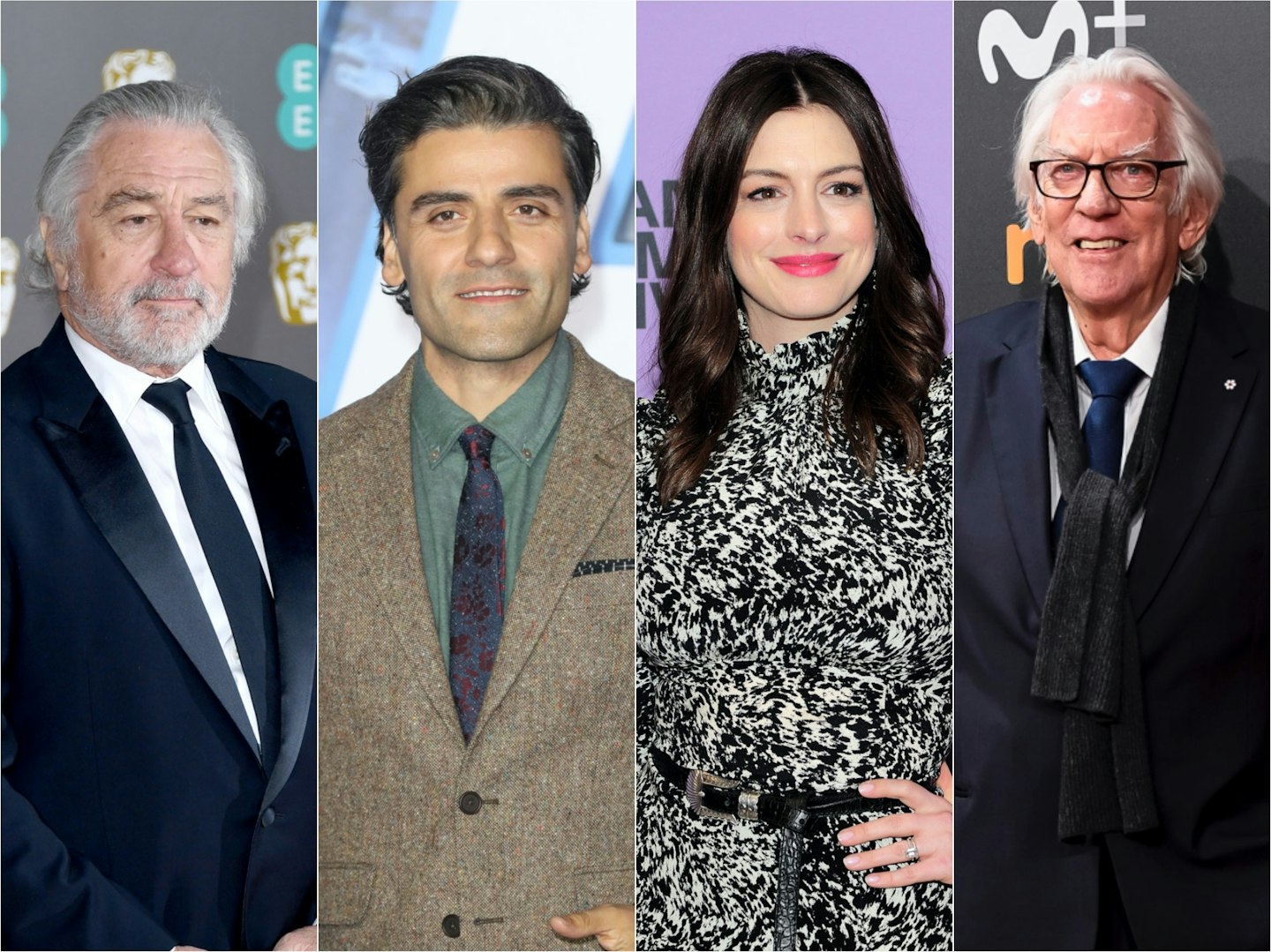 Robert De Niro, Oscar Isaac, Anne Hathaway, Donald Sutherland