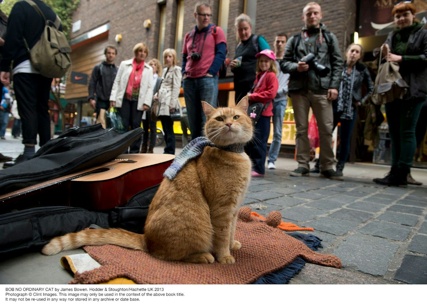 Street Cat Named Bob Busking