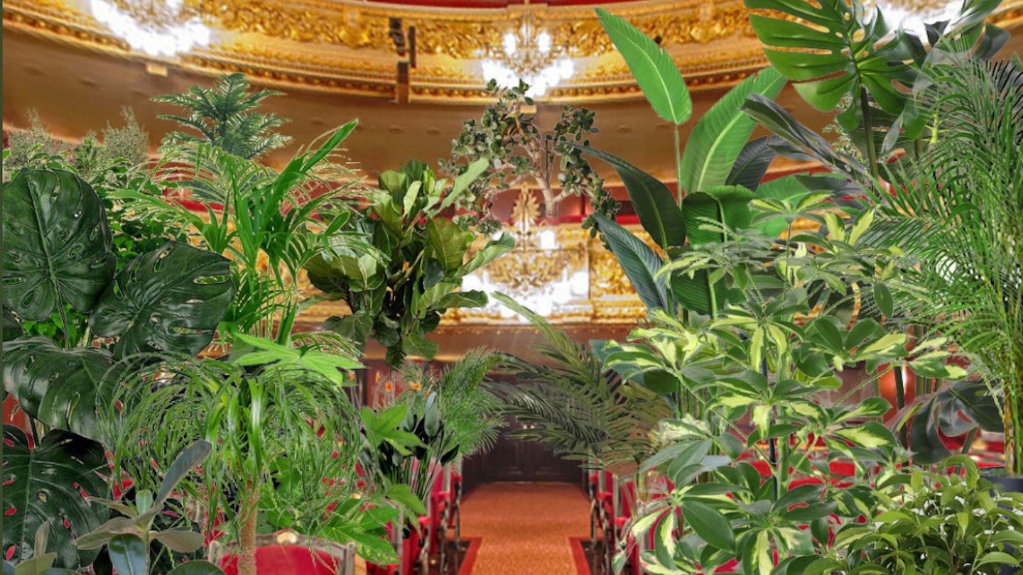 opera house plants 