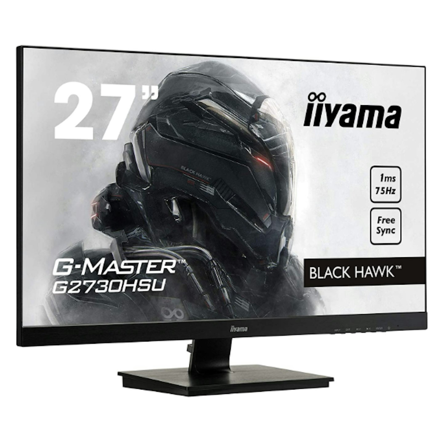 Iiyama GB2530HSU-B1 Gaming Monitor