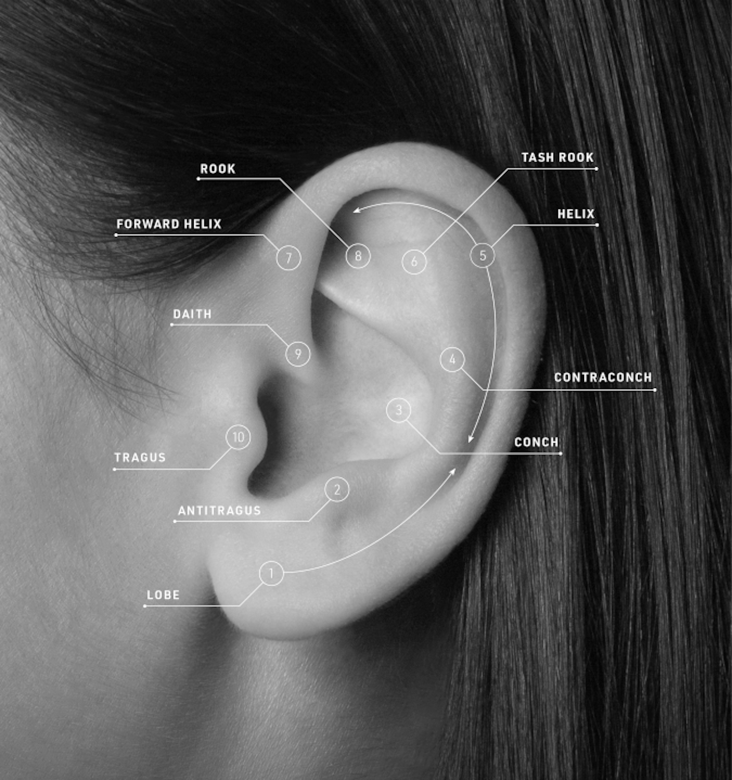 Maria Tash Ear Piercing Diagram
