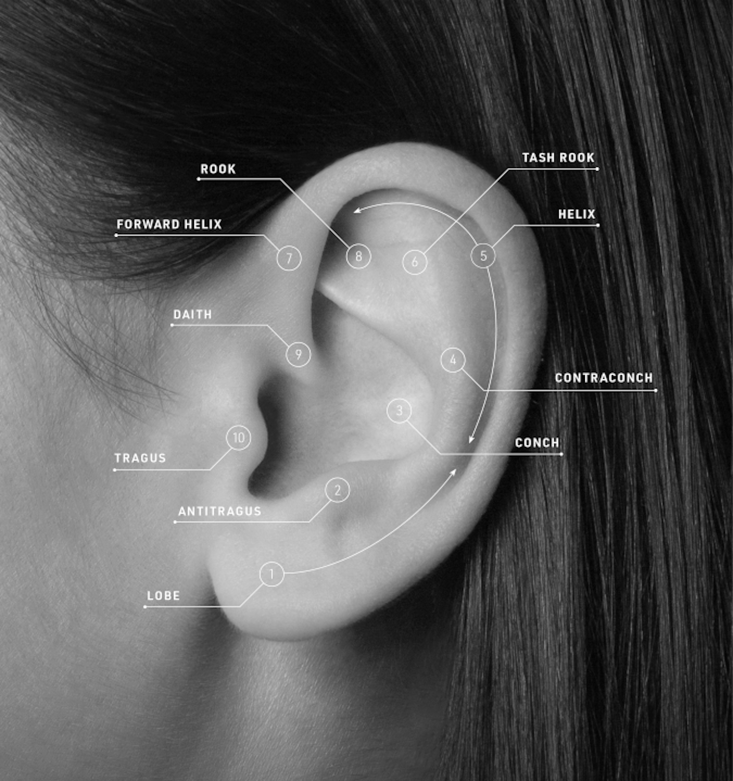 The coolest types of ear piercings to try in 2022
