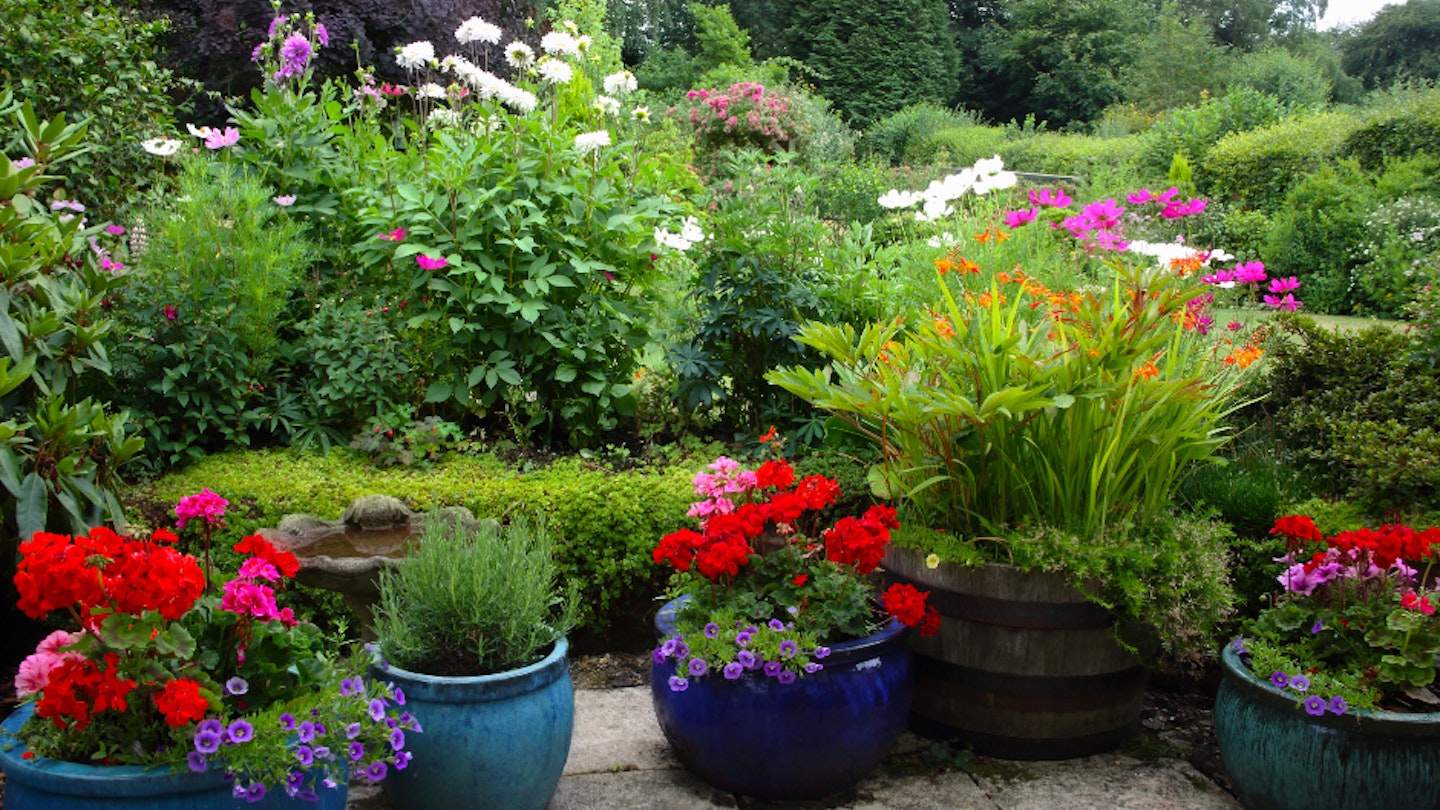 Everything you need to know about container gardening