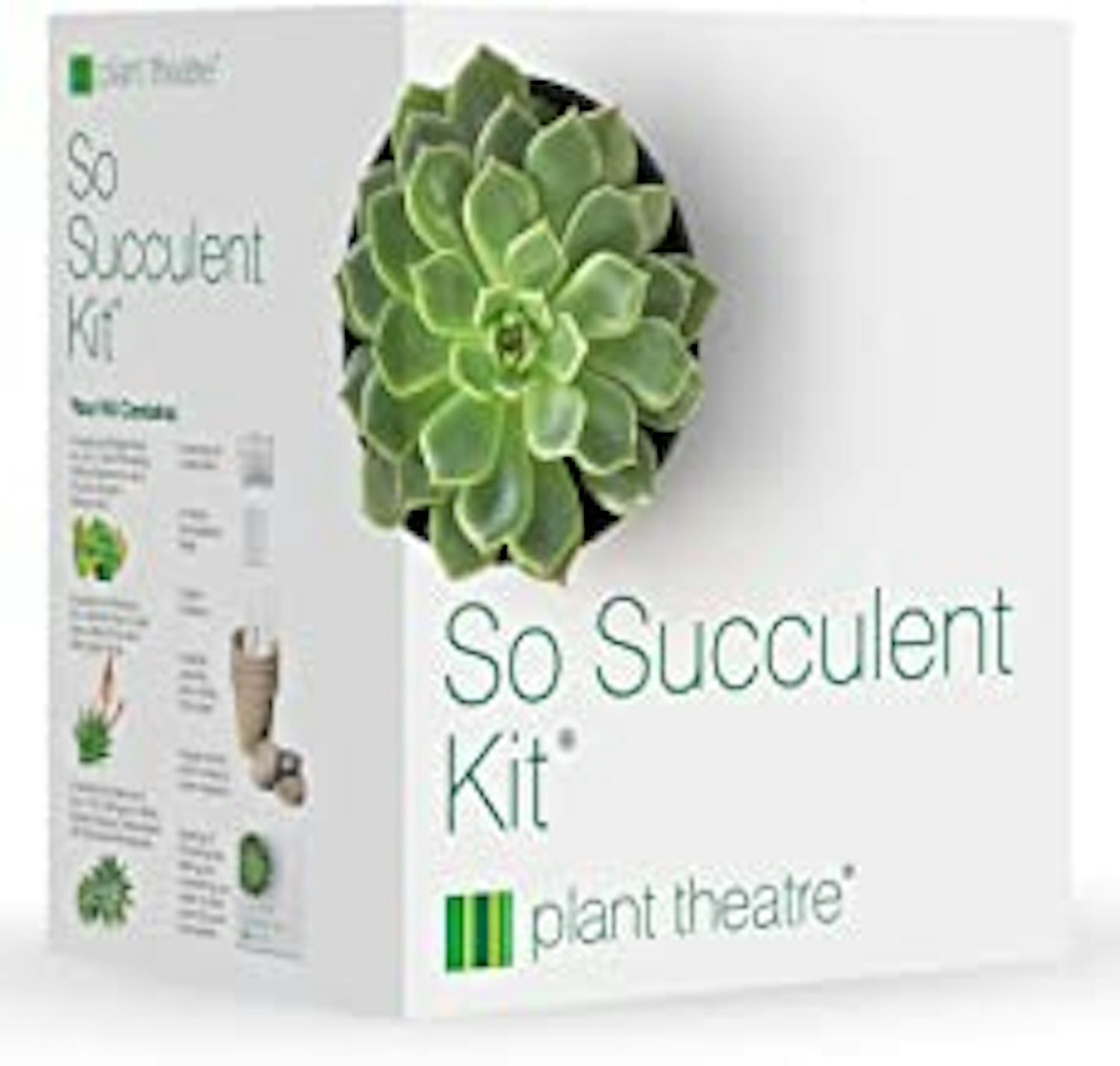 So Succulent Kit