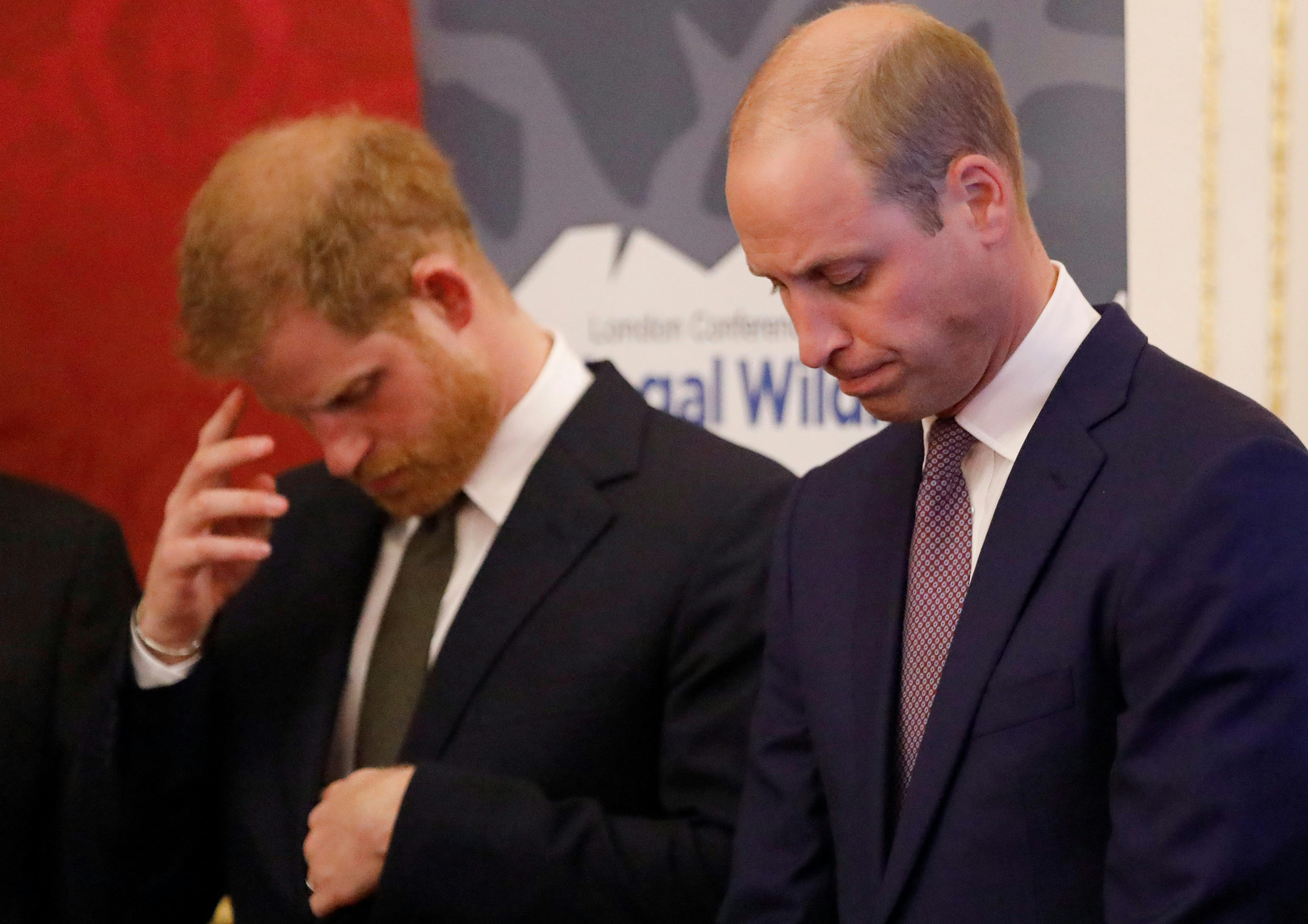 Why Prince William and Harry may never heal their rift