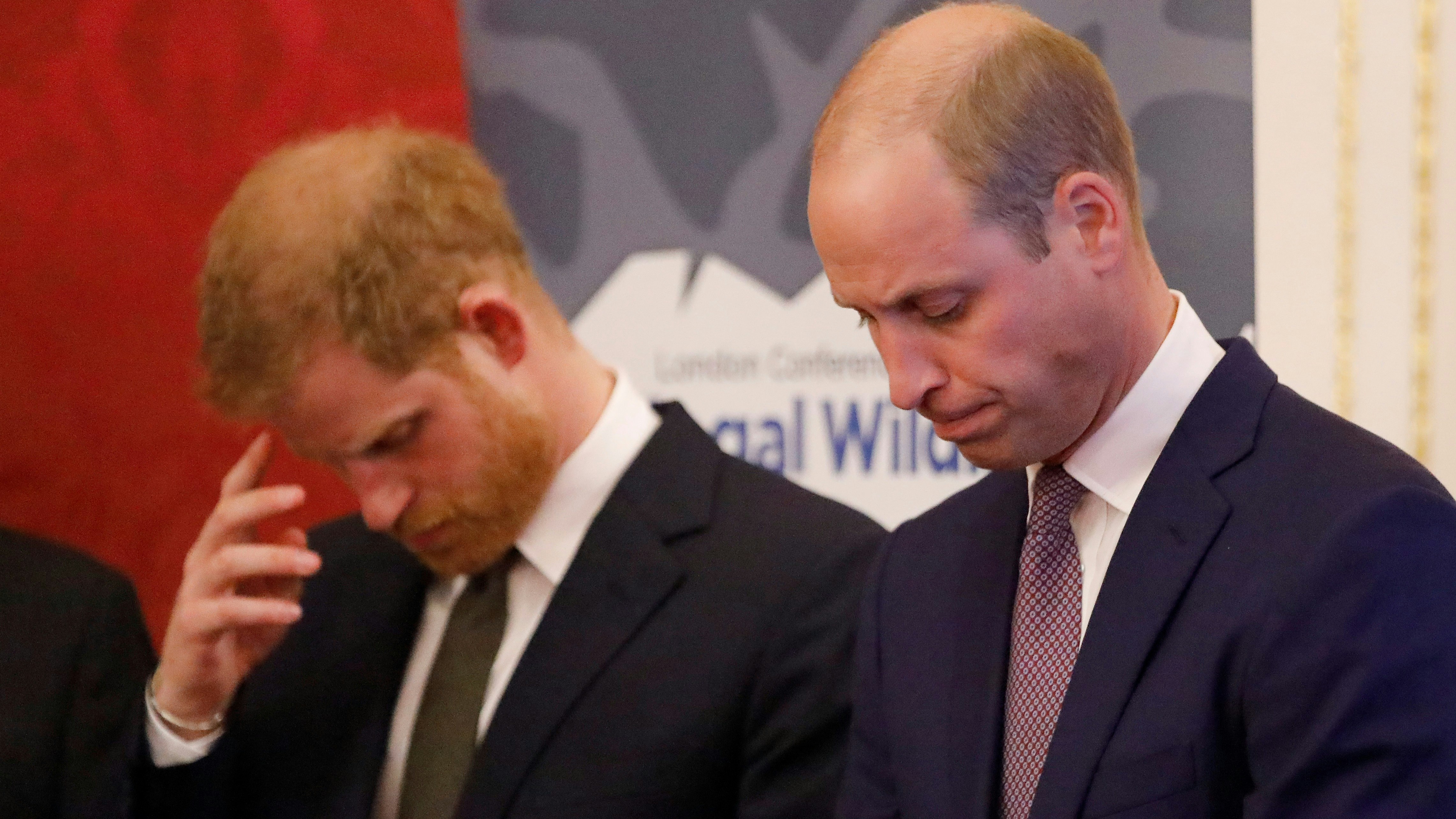 Why Prince William and Harry may never heal their rift