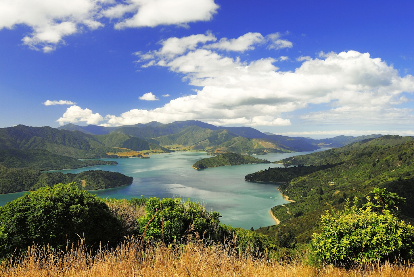 New Zealand 