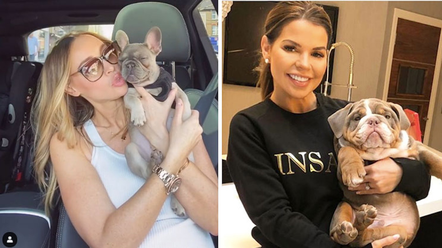 celebs who love their pets