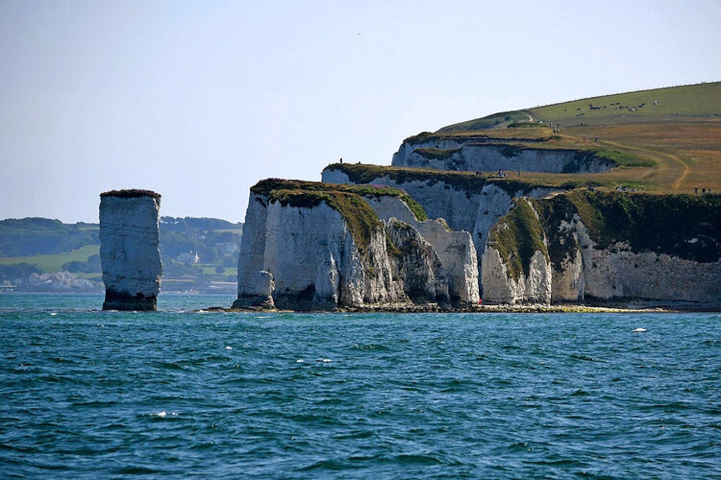 For junior geologists: Jurassic Circular Cruise, Poole 