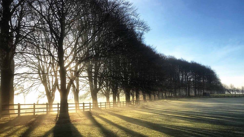 Best Budget Cameras For Landscape Photographers