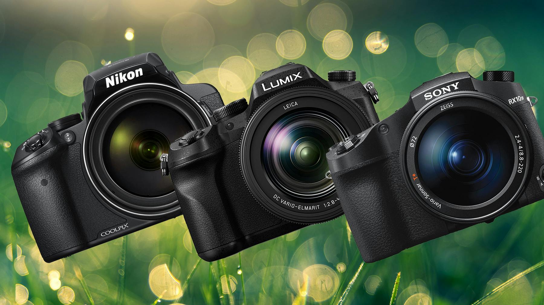 Three of the best bridge cameras Tech What's The Best