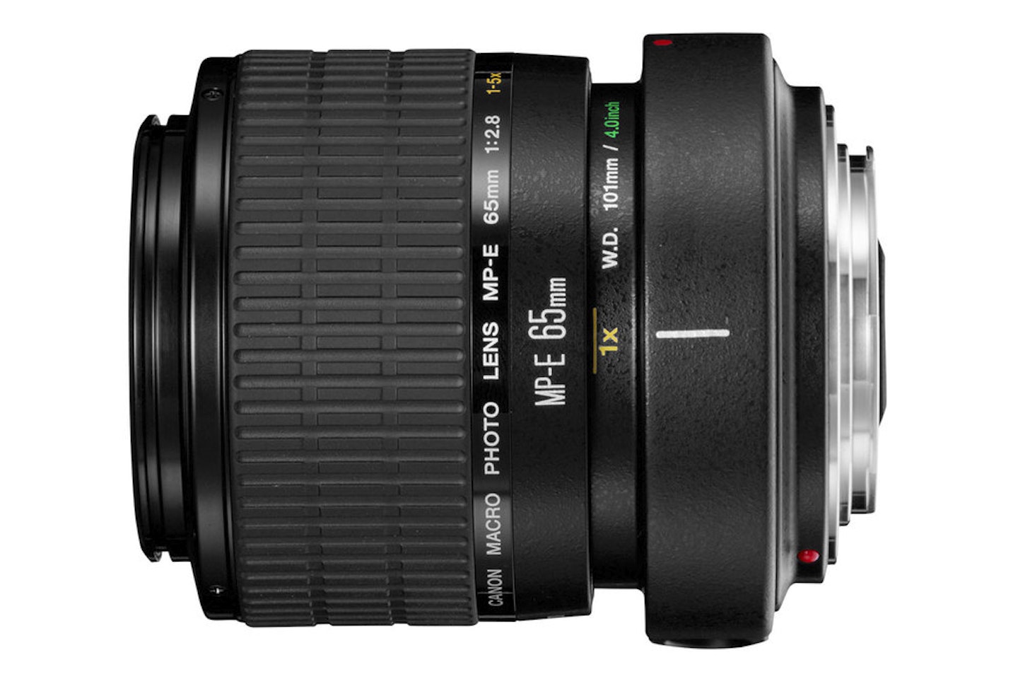 Canon MP-E 65mm F/2.8 1-5X Macro Photo