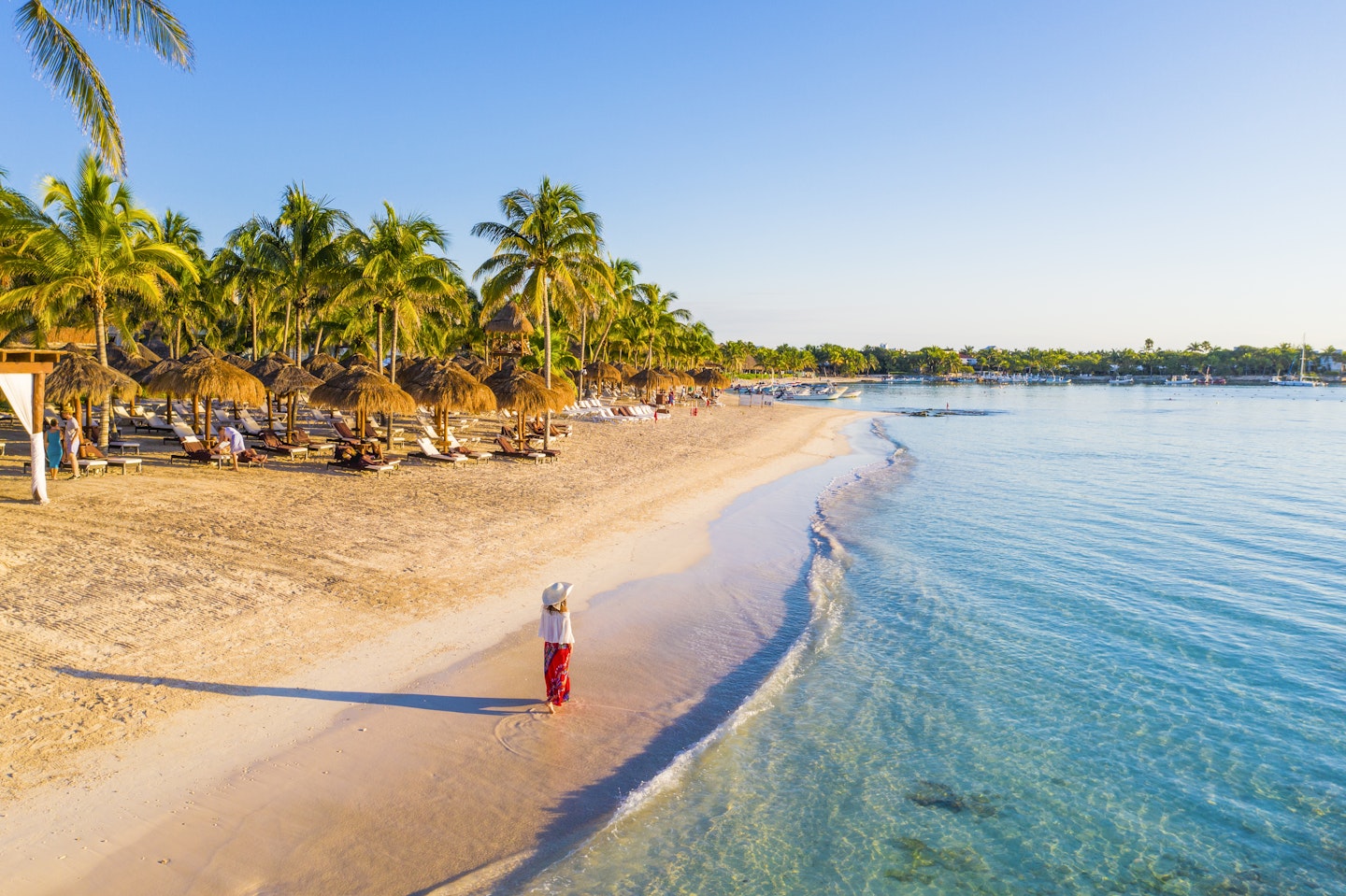 The Caribbean