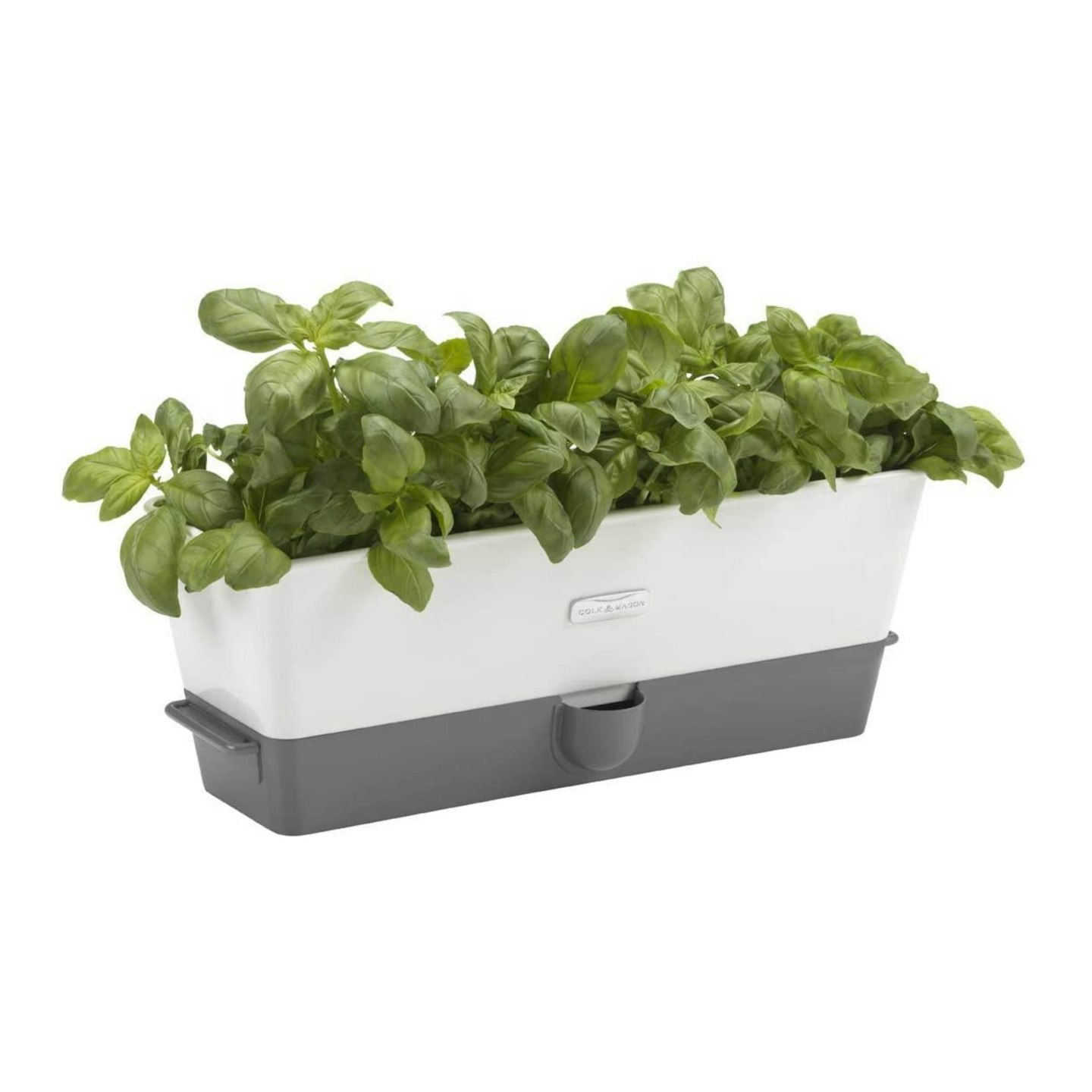 Cole & Mason Fresh Herb Range Self-Watering Potted Herb Keeper