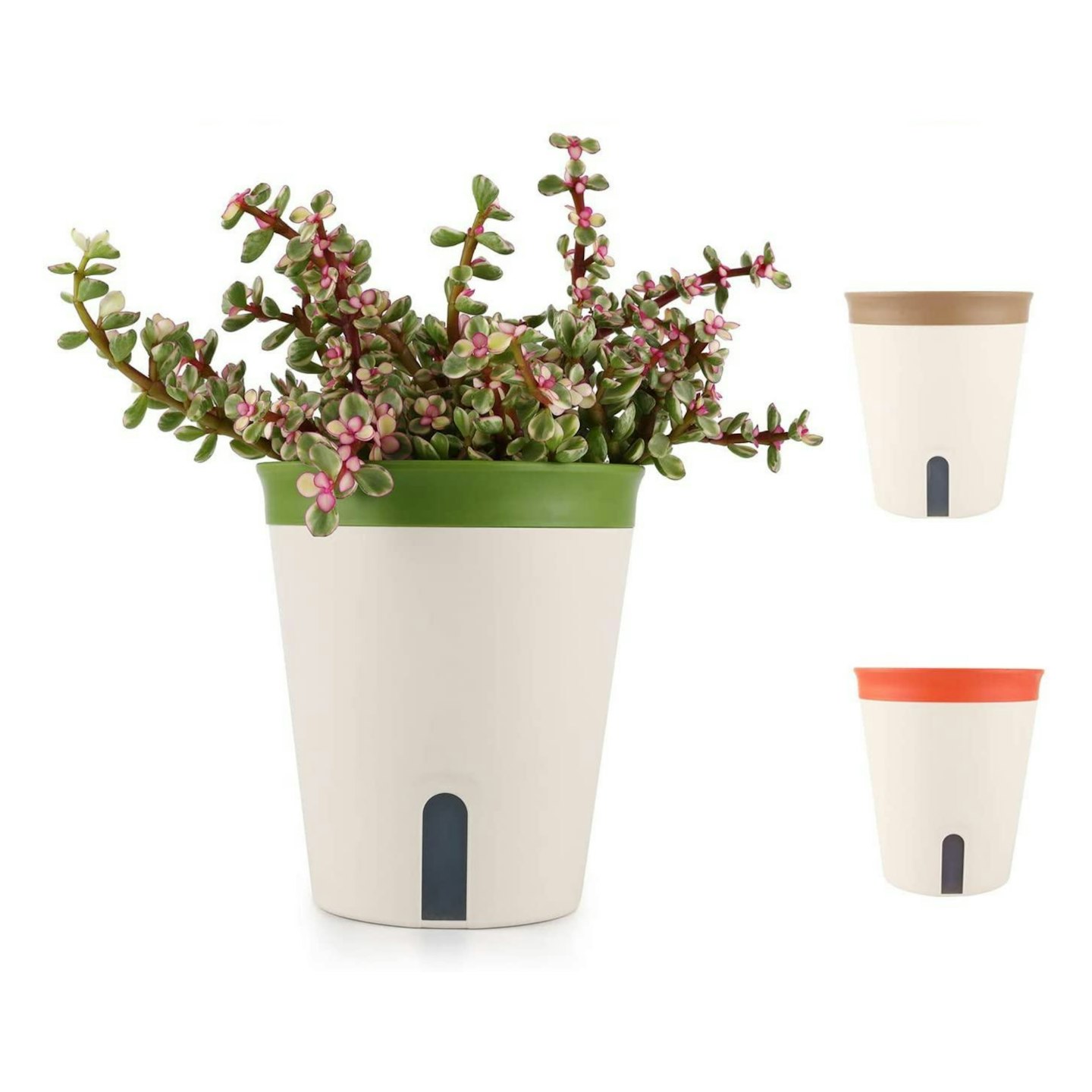 T4U Self Watering Planter Pot Round