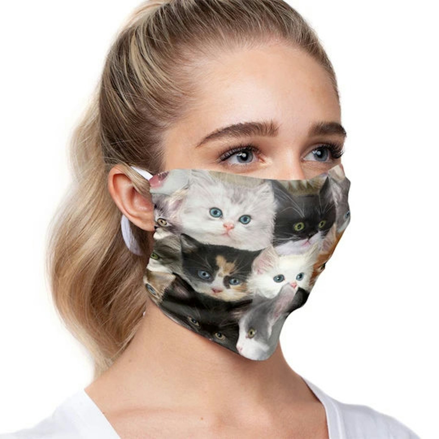 Cats & Kittens mask