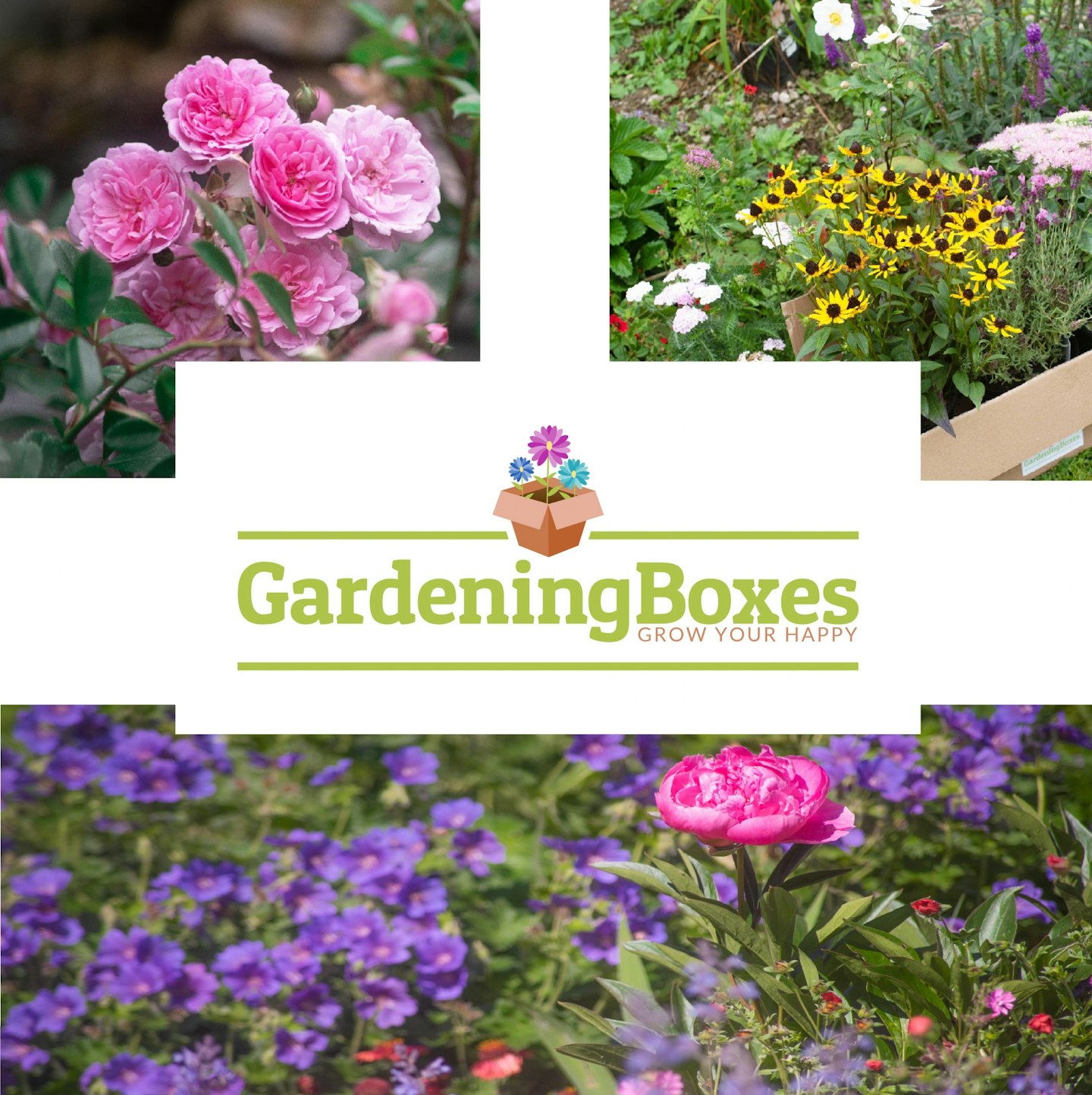 GardeningBoxes