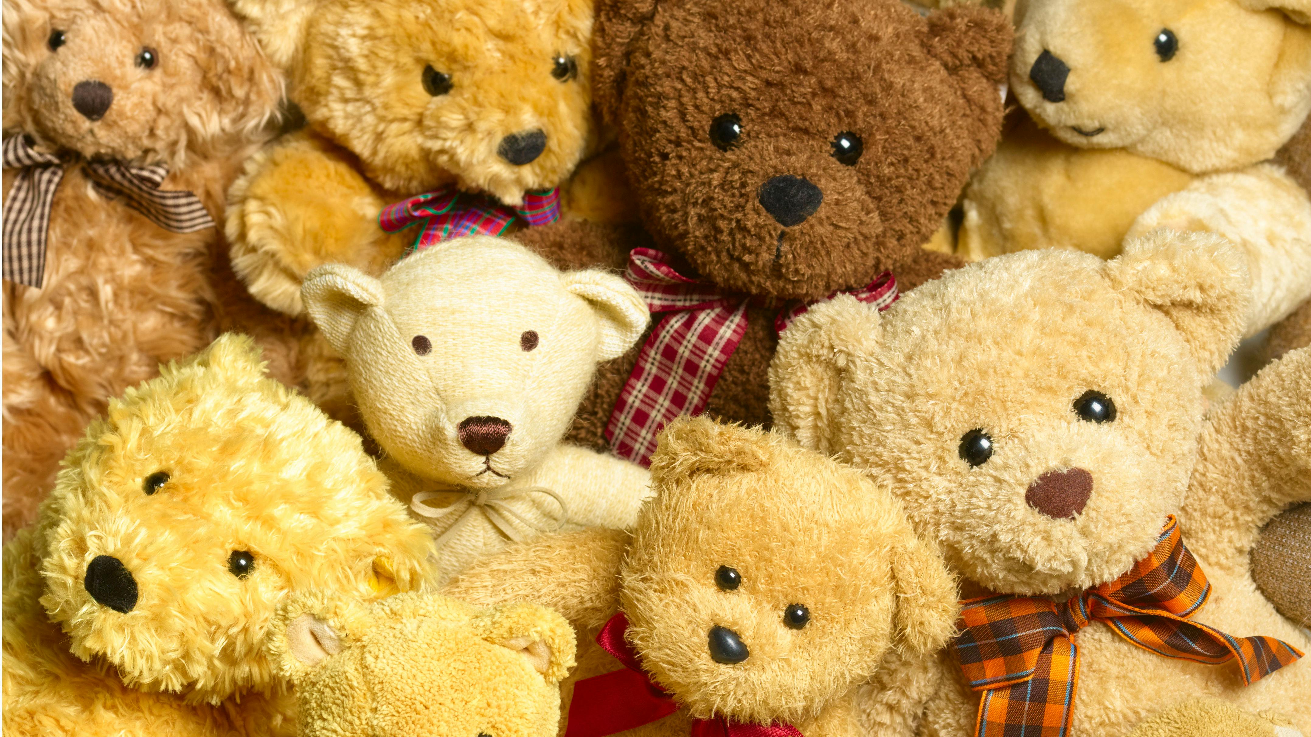 The History And Magic Of Teddies The History And Magic Of Teddies