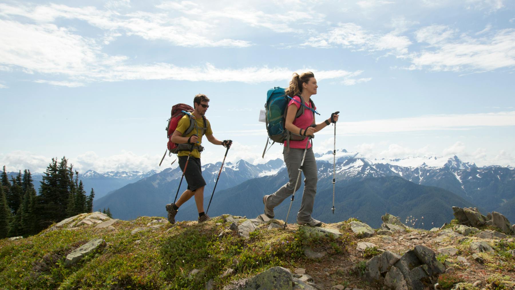 The best walking poles Lifestyle What's The Best