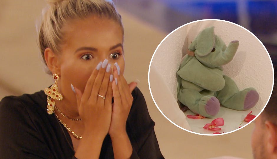 snoozapalooza dr seuss