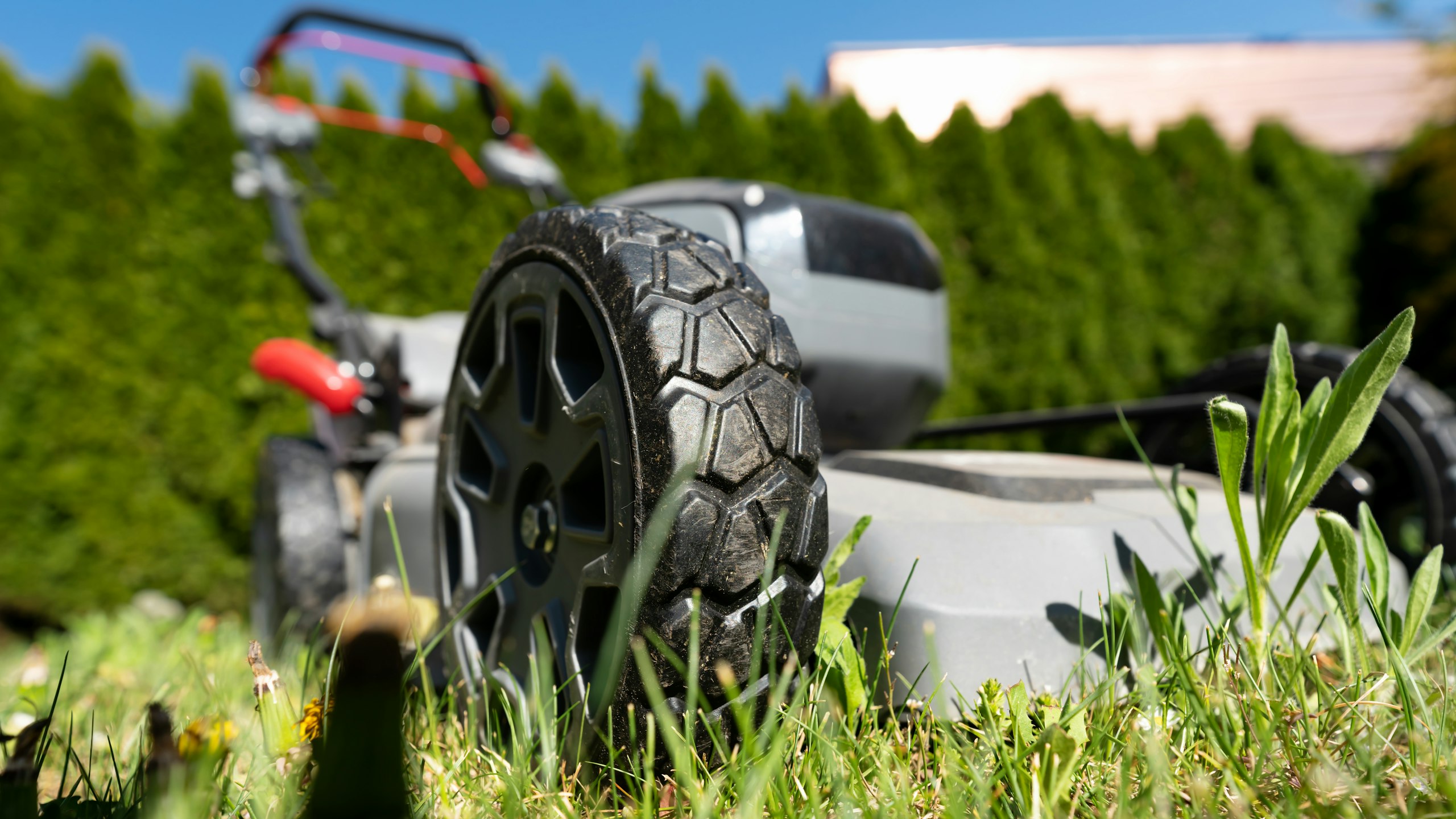 Cordless lawn mower