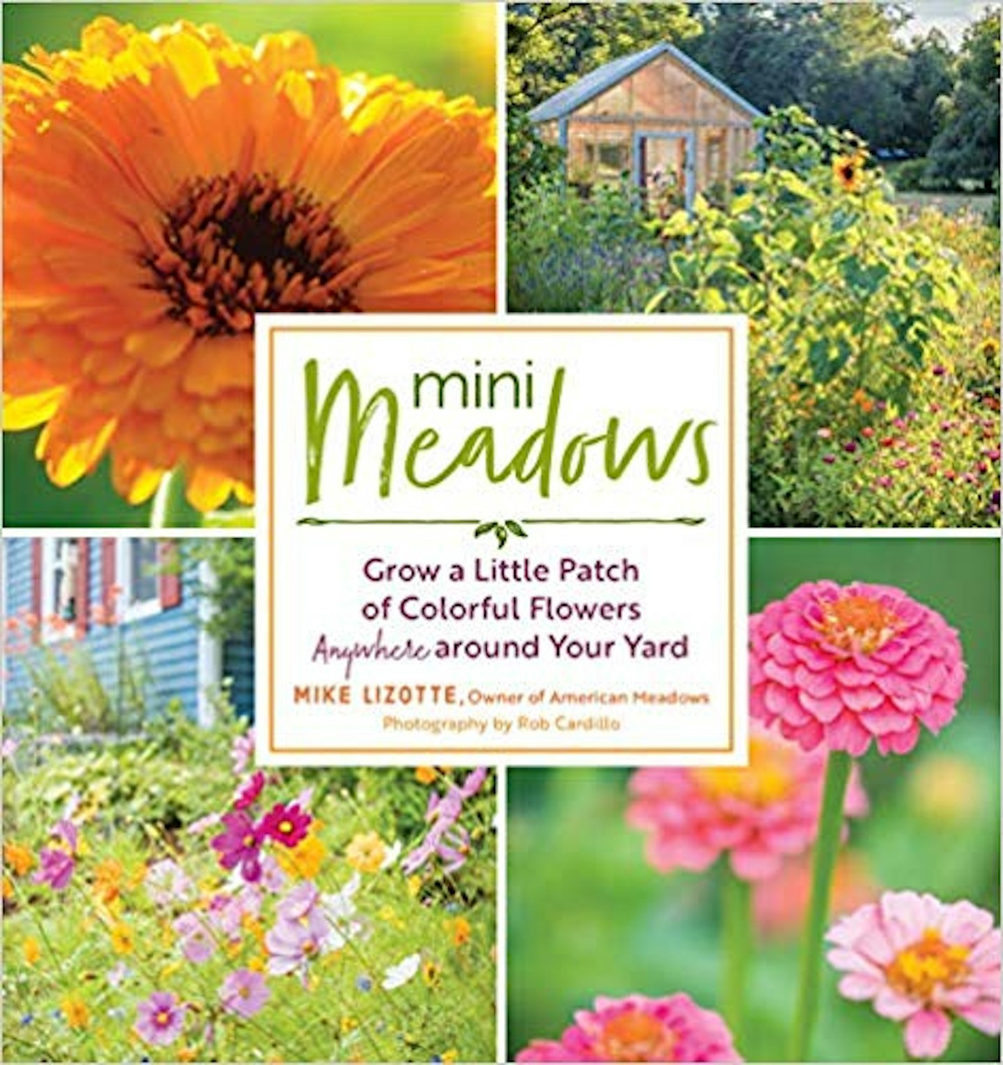 Mini Meadows: Grow a Little Patch of Colorful Flowers Anywhere Around Your Yard Paperback u2013 Illustrated, 1 April 2019 by Mike Lizotte