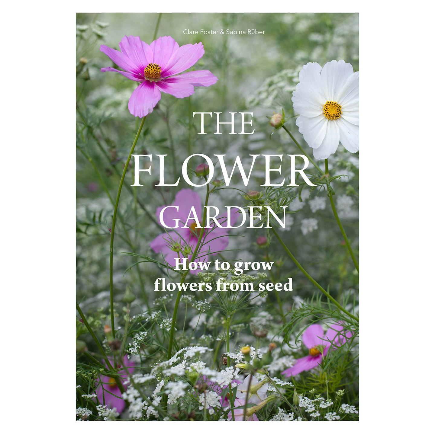 Flower Garden by Clare Foster