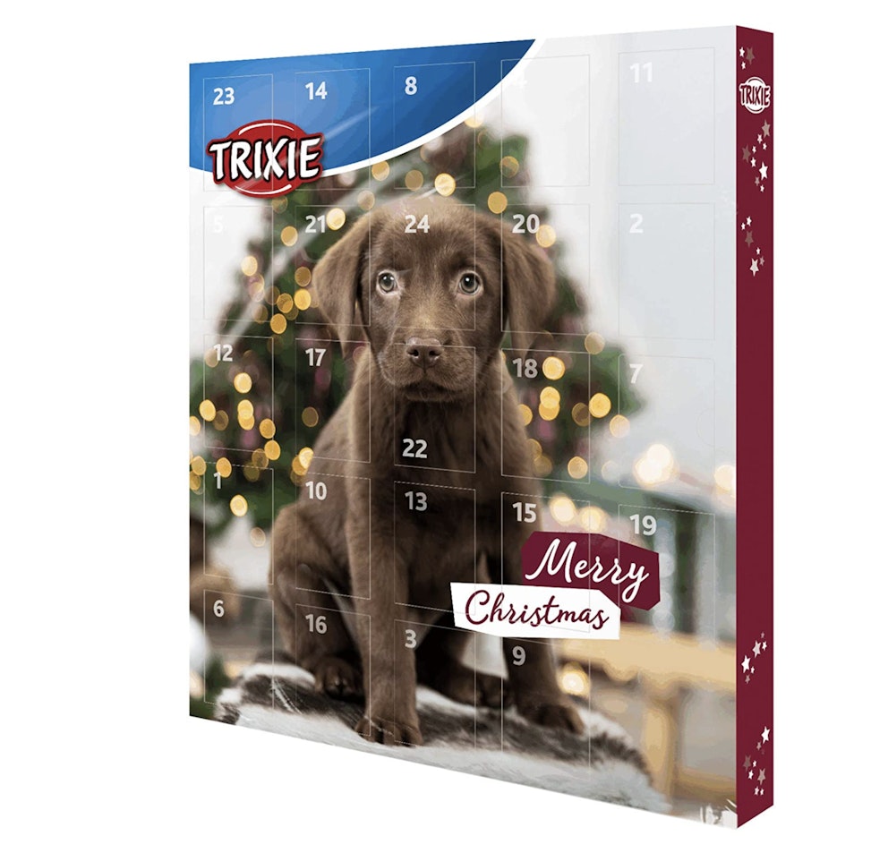 The Best Dog Advent Calendars UK 2021