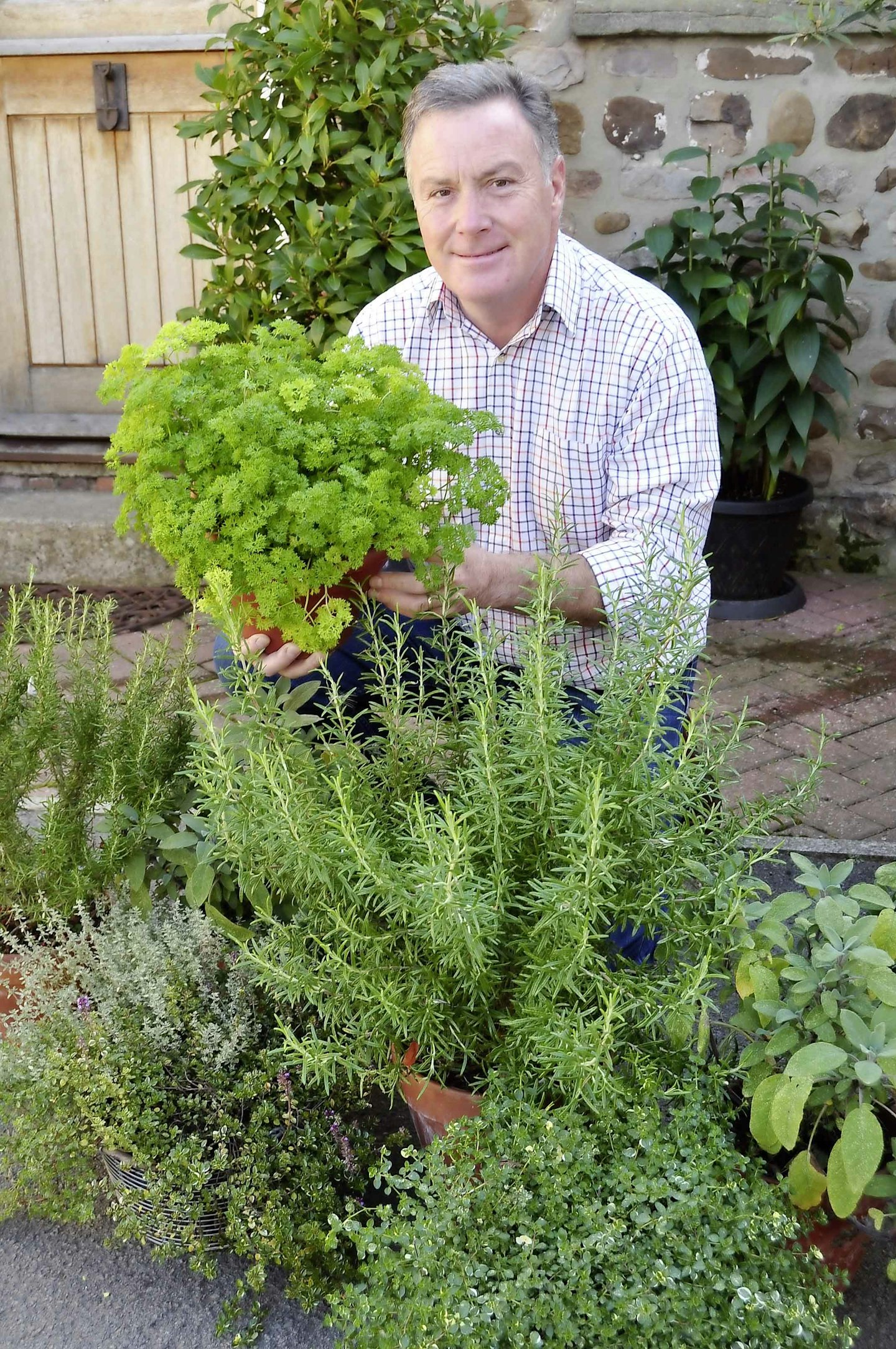 Create a winter foliage display that will be useful too