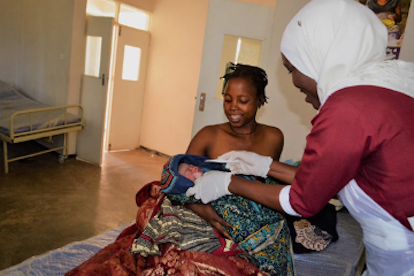 Jausa with a mother and new-born she just delivered