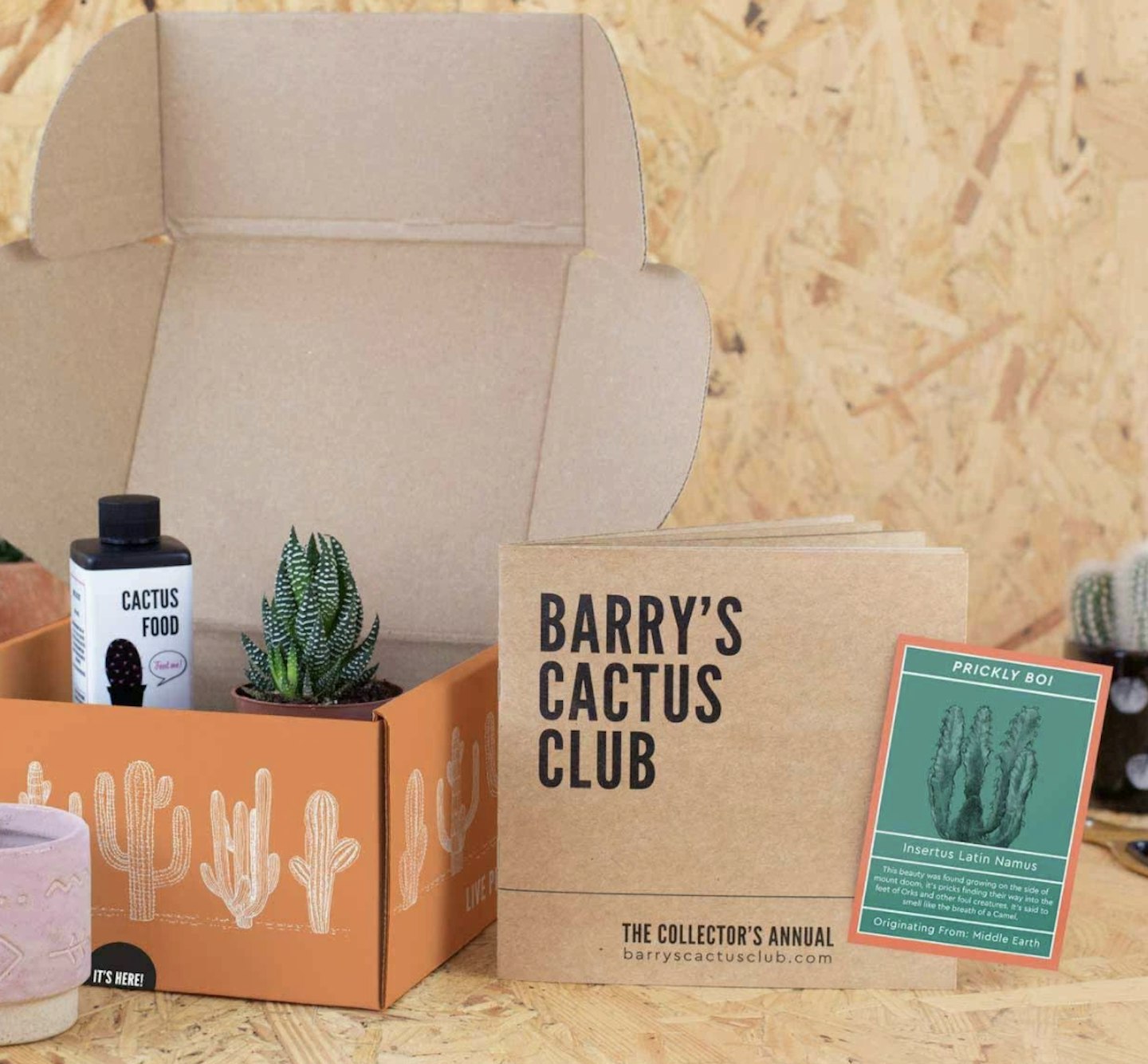 Barry's Cactus Club