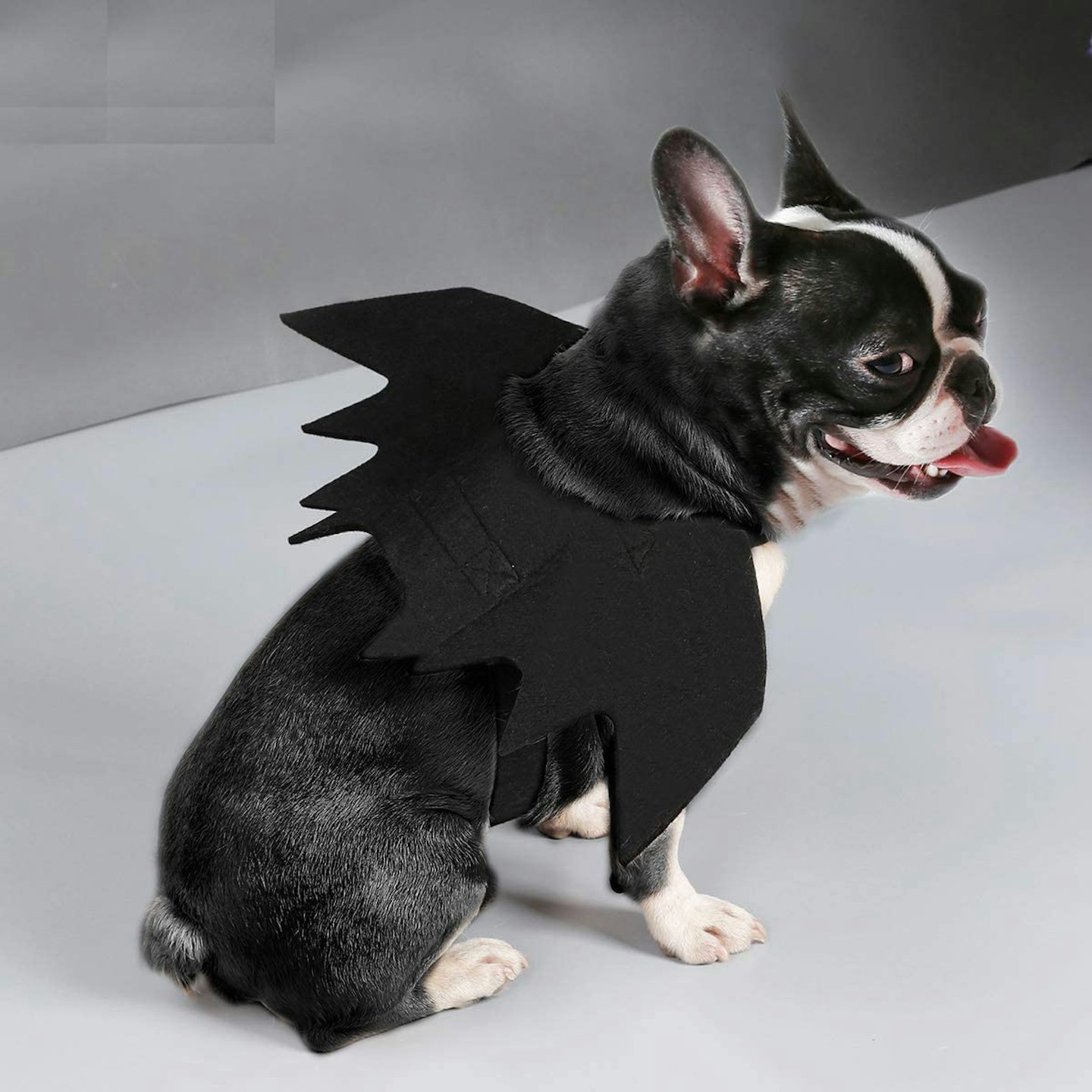 BbearTu00ae Pet Halloween Felt Cloth Bat Wings